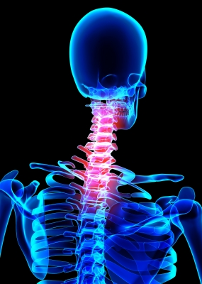 Illustration for article titled Things to Consider Before Selecting a Chiropractor to utilize